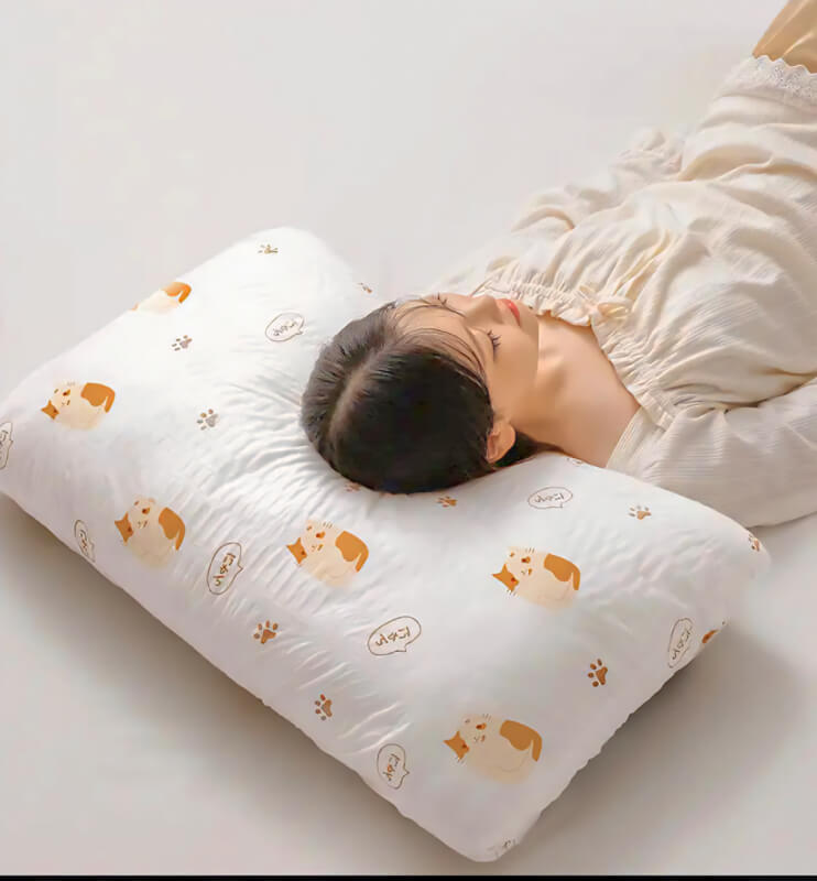 روبالشتی مسافرتی