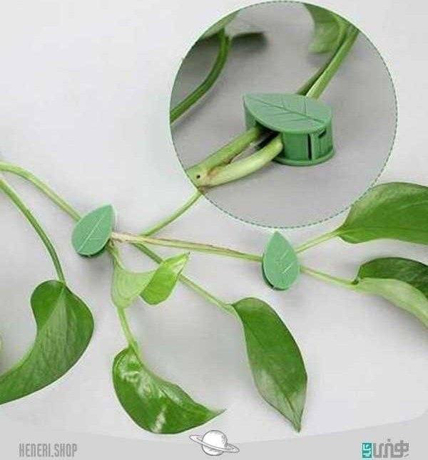 گیره نگهدارنده گیاه